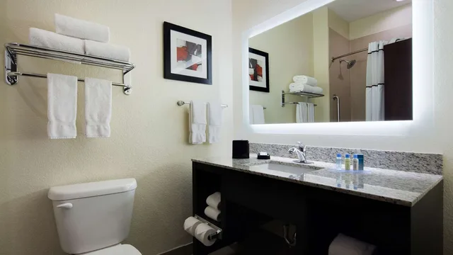 Suite, King Bed, Sofa, Best Western Plus Fairview Inn & Suites 1/1