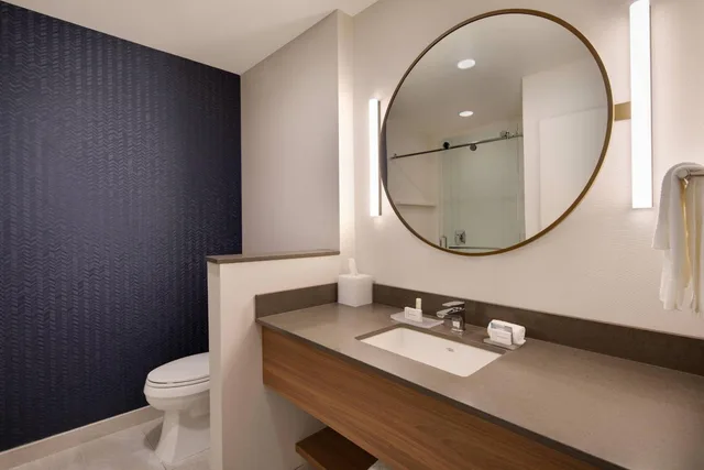 غرفة بسرير كينج بحوض استحمام لذوي الإعاقة، Fairfield Inn And Suites By Marriott Tampa Wesley Chapel 6/10