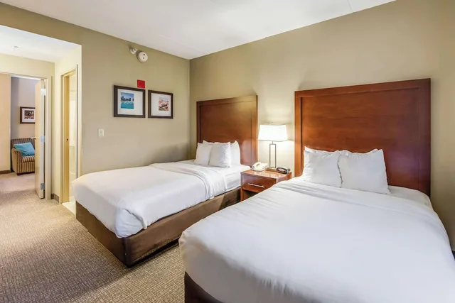 جناح بسريرين مزدوجين مع أريكة، Comfort Suites Chicago O'Hare Airport 3/10