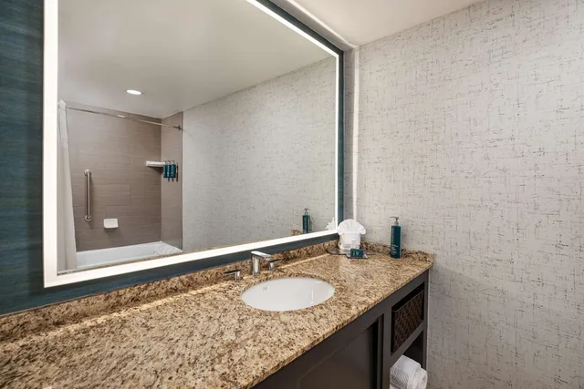 جناح بسرير كينج لذوي الإعاقة، DoubleTree Suites by Hilton Austin Downtown Capitol 2/2