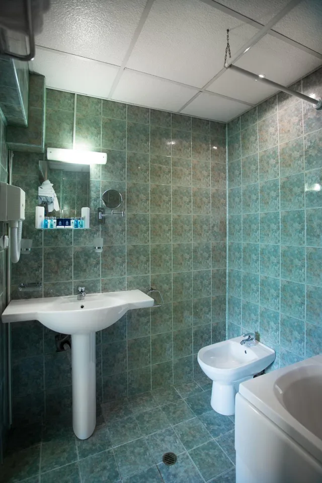 شقة ديلوكس بسرير مزدوج، Hemus Hotel Sofia 6/6