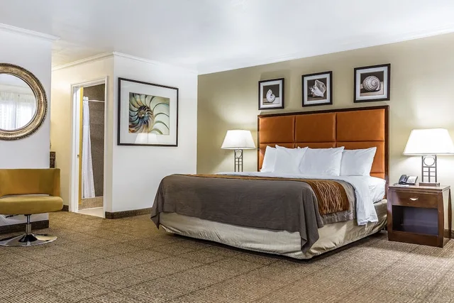 Room, King Bed, Hot Tub, Comfort Inn Santa Cruz North 10/10