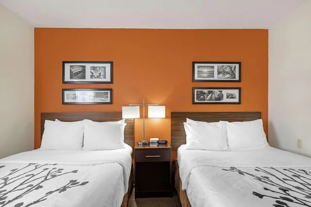 غرفة بسرير مزدوج، Sleep Inn DeWitt - Lansing North 1/4