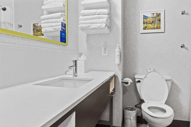 غرفة بسرير كينج مع أريكة لذوي الإعاقة، Hampton Inn & Suites Colorado Springs-Air Force Academy-I-25 North 1/2
