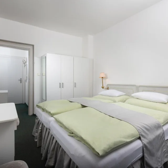 غرفة بسرير مزدوج أو سريرين منفصلين لذوي الإعاقة، Ferdinand Hotel 1/3