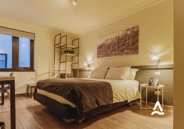 Economy, Street View، Hotel Almasur Punta Arenas 1/5