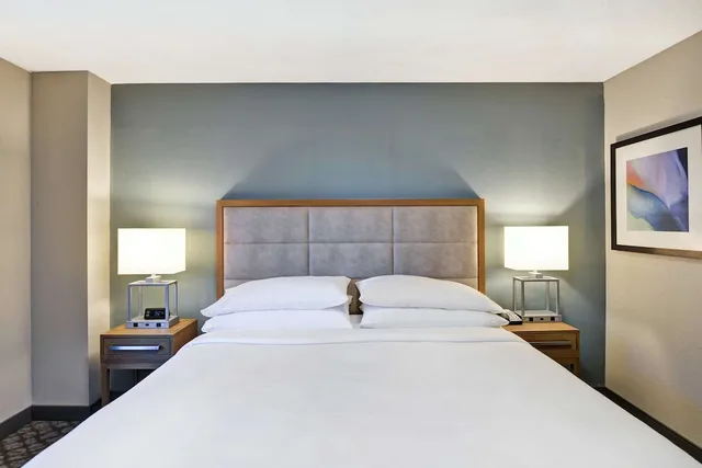 جناح بسرير كينج مع أريكة، Embassy Suites By Hilton Orlando-Downtown 1/3