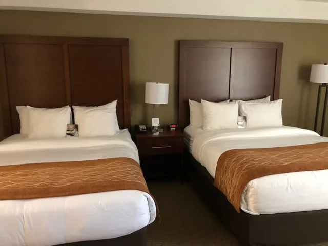 غرفة قياسية بسريرين مزدوجين، Comfort Inn and Suites Near Danville Mall 5/8