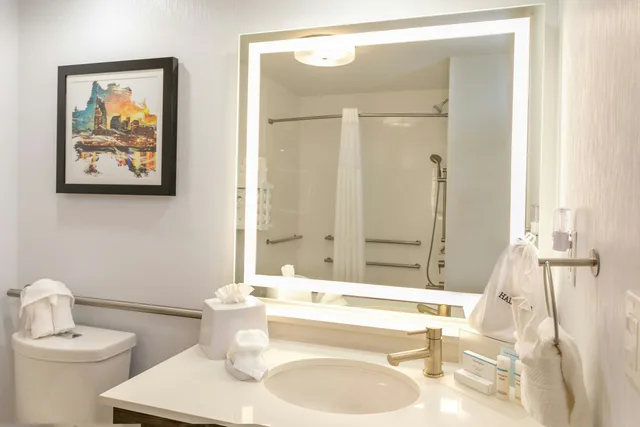 غرفة بسرير كينج لذوي الإعاقة، Hampton Inn Suites Nashville Green Hills 1/3