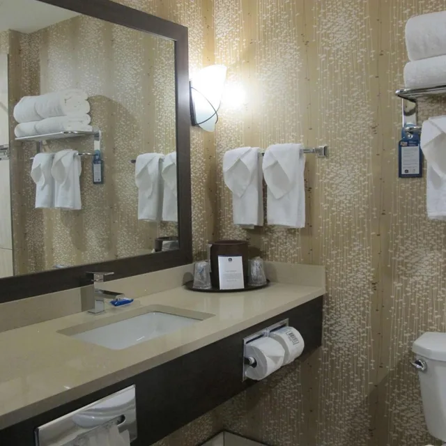 غرفة بسرير كينج بجاكوزي بمطبخ، Best Western Plus Kindersley Hotel 8/10