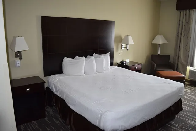 غرفة قياسية بسرير كينج لذوي الإعاقة، Best Western Oasis Inn 2/5