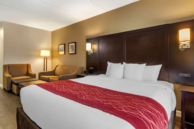Suite, King Bed, Sofa, Accessible, Comfort Inn & Suites Near Six Flags GA 3/10