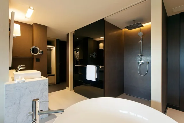 جناح كلوب، Crowne Plaza Geneva 3/3