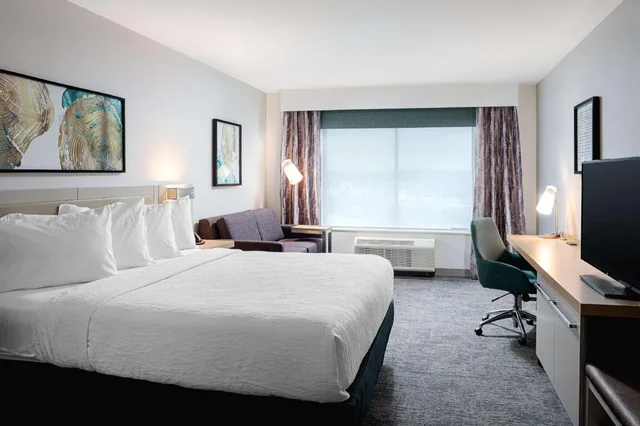 غرفة ديلوكس بسرير كينج مع أريكة لذوي الإعاقة، Hilton Garden Inn Mt. Juliet 1/3