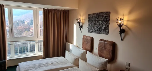 غرفة مفردة بسرير مزدوج، Hasseröder Burghotel 2/10