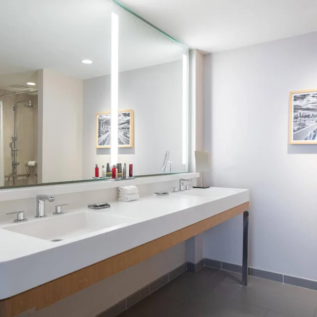 غرفة بسرير كينج بحوض استحمام لذوي الإعاقة، MARRIOTT MARQUIS CHICAGO 8/8