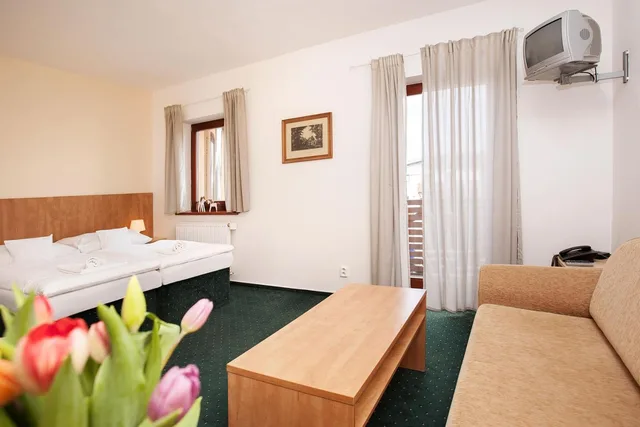 غرفة بسرير مزدوج أو سريرين منفصلين، Hotel Panská Lícha 7/8