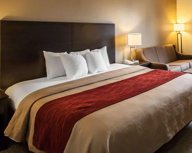 غرفة بسرير كينج، Quality Inn Hayti Comfort Inn Hayti 4/4
