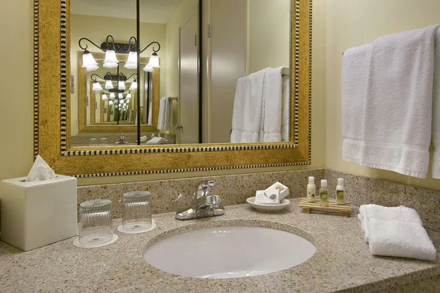 غرفة بسرير مزدوج لذوي الإعاقة، Spark by Hilton Seattle Airport 3/8