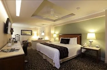 Inner, Junior Suite، Emporio Zacatecas 1/1