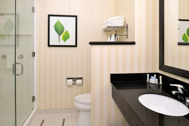 غرفة بسرير كينج، Fairfield Inn And Suites Cedar Rapids 6/6