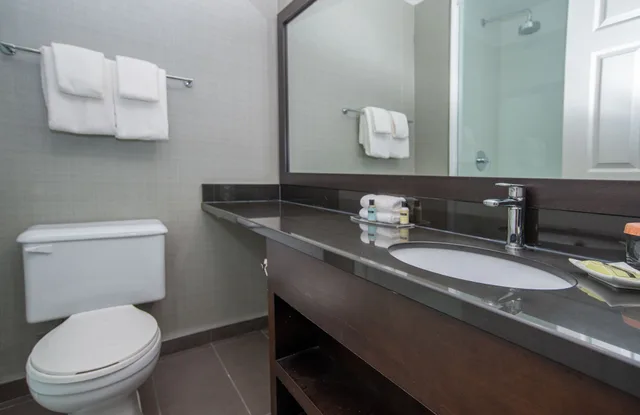 جناح بسرير كينج بمطبخ صغير، Sandman Hotel Red Deer 5/6