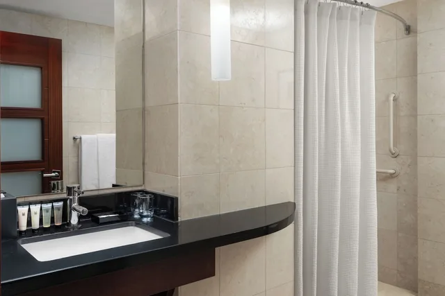 غرفة قياسية بسرير كينج بحوض استحمام لذوي الإعاقة، Millennium Hotel Knickerbocker Chicago 6/8