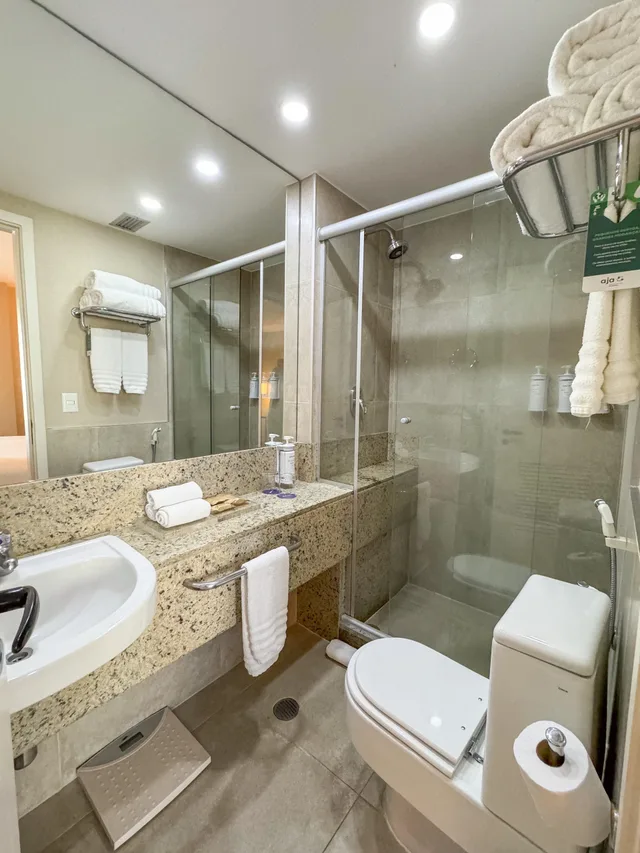 Executive, Twin Beds, Street View, Radisson Blu Sao Paulo 5/5