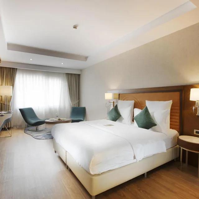 Junior Suite, Mercure Istanbul Bakirkoy Hotel 1/9