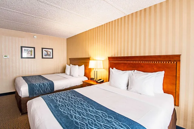 غرفة رباعية لذوي الإعاقة، Comfort Inn Falls Church - Tysons Corner 1/1