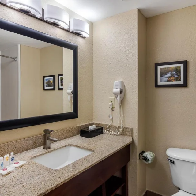 غرفة بسرير كينج مع أريكة، Comfort Suites Woodstock - Atlanta North 3/3