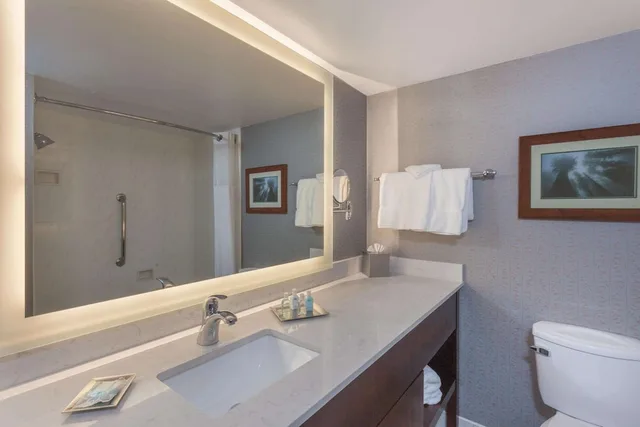 غرفة تنفيذية بسرير كينج مع أريكة، Wyndham Visalia 4/4