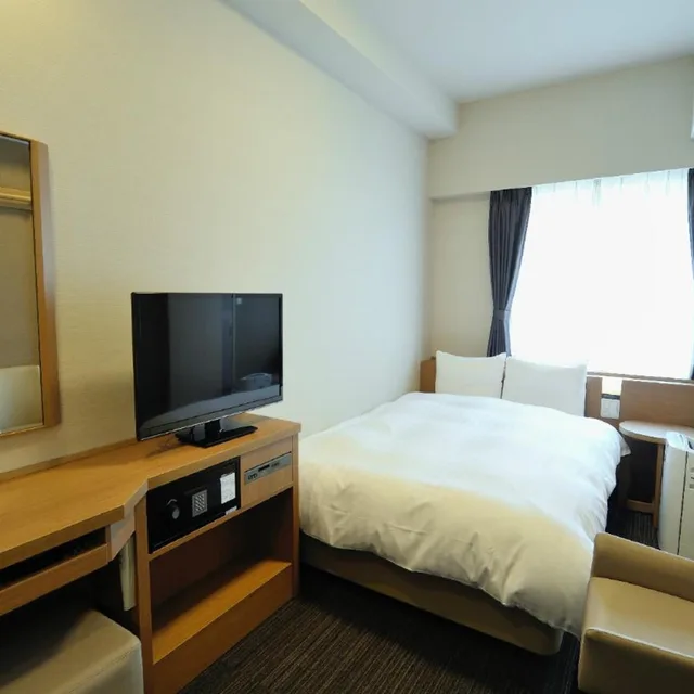 Room, Single, Dormy Inn Akihabara 3/5