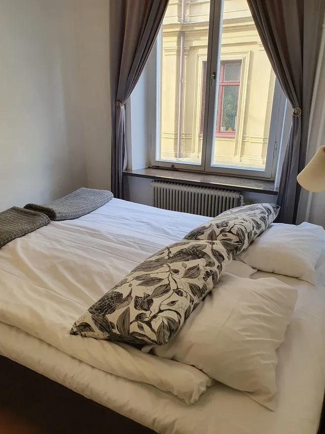 غرفة قياسية بسريرين منفصلين، Hotel Sirius 6/10
