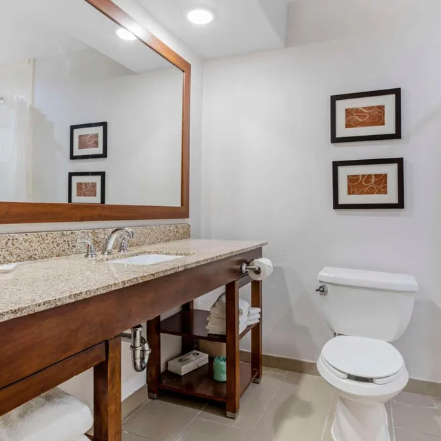 جناح بسرير كينج مع أريكة، Comfort Suites Houston NW - Vintage Park 6/7