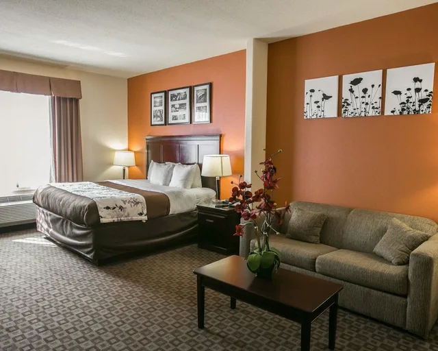 جناح، Sleep Inn Suites Highway 290 Nw Freeway 6/7