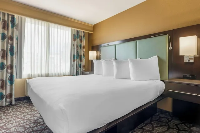 غرفة قياسية بسرير كينج لذوي الإعاقة، Best Western Plus Oceanside Palms 3/4