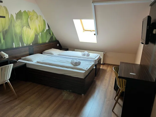 غرفة اقتصادية، Green Hotel Budapest 1/1