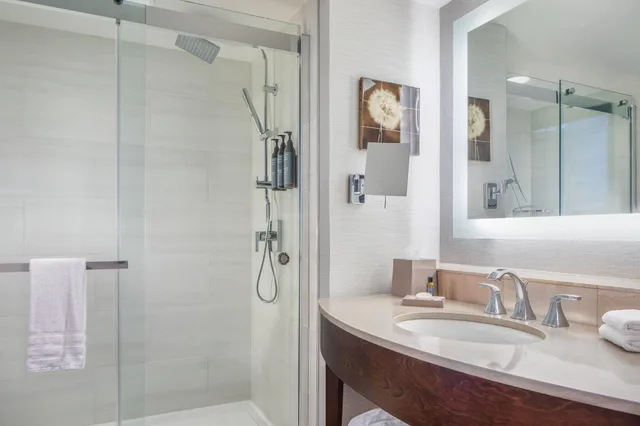 غرفة كلوب بسرير مزدوج بإطلالة على المدينة، The Westin Buckhead 4/6