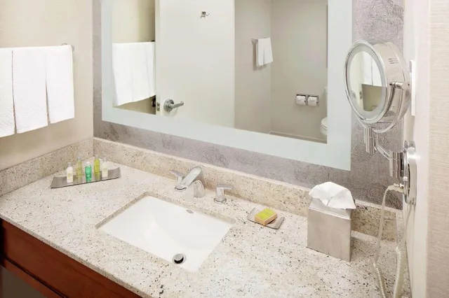 Junior Suite, King Bed, Sofa, Accessible, Doubletree By Hilton South Bend 3/3