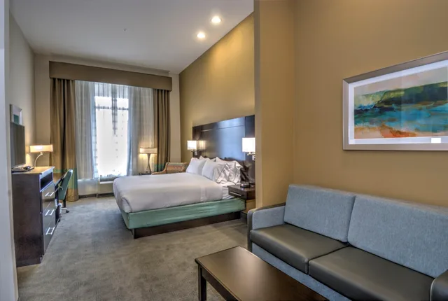 جناح بسرير كينج لذوي الإعاقة، Holiday Inn Express And Suites Austin South 3/6