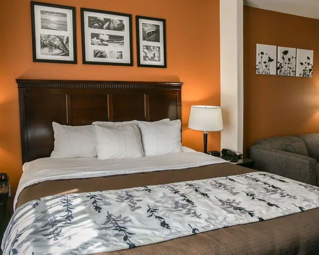 جناح، Sleep Inn Suites Highway 290 Nw Freeway 5/7