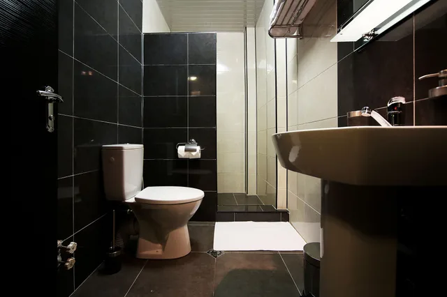 غرفة ثلاثية بسرير كينج وسرير فردي، Continental Hotel 4/4