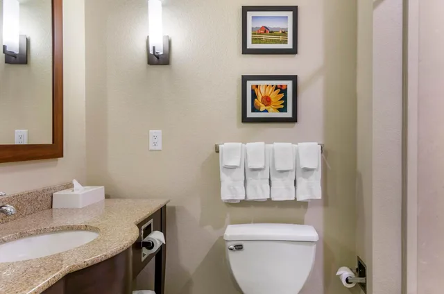 جناح بسرير كينج يُسمح فيها بالحيوانات الأليفة، Comfort Suites Helena Airport 5/5