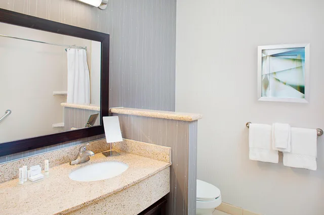 جناح بسرير كينج بإطلالة على المدينة مع أريكة، Courtyard by Marriott San Antonio SeaWorld - Westover Hills 5/6