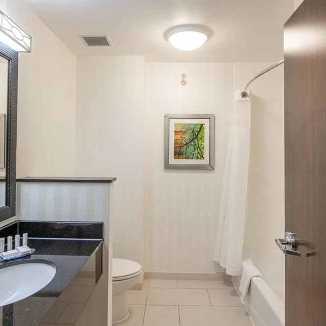 استوديو بسرير كوين مع أريكة، Fairfield Inn Suites New Braunfels 7/7