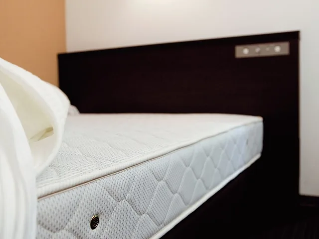 غرفة اقتصادية مفردة، Ab Hotel Nara 5/5