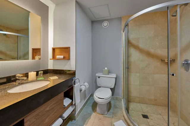 جناح ديلوكس بسرير كينج، Hilton Garden Inn Mexico City Polanco 3/4