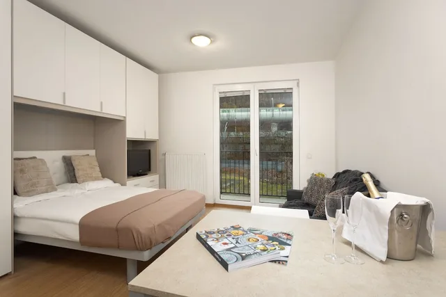 Basic, Studio, Queen Bed, Prague City Residence 2/7