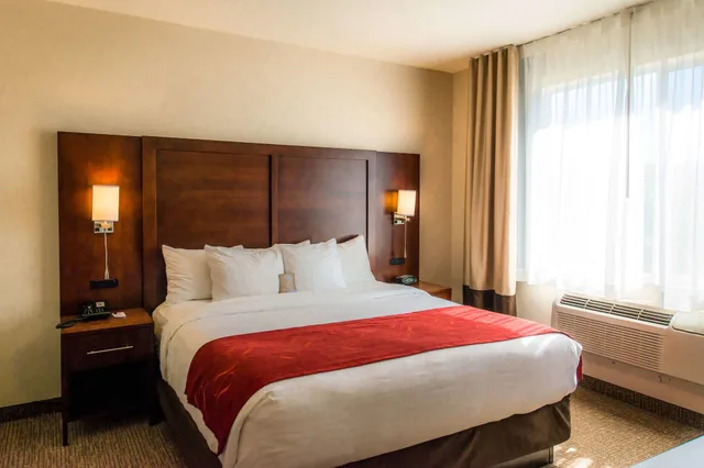 جناح بسرير كينج مع أريكة يُسمح فيها بالحيوانات الأليفة، Comfort Suites Springfield RiverBend Medical 1/3